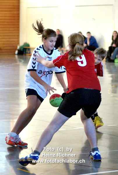 241035 handball_4.jpg